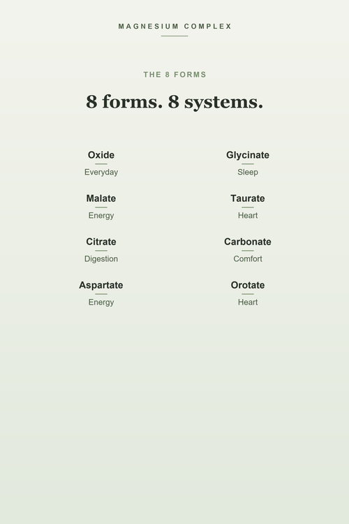 Magnesium Complex 1000mg - 8 Forms of Magnesium, Maximum Absorption