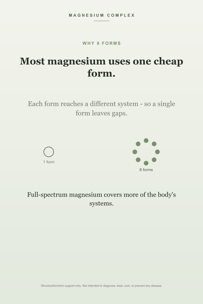 Why 8 forms