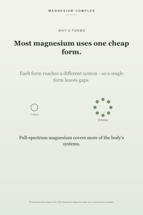 Magnesium Complex 1000mg - 8 Forms of Magnesium, Maximum Absorption