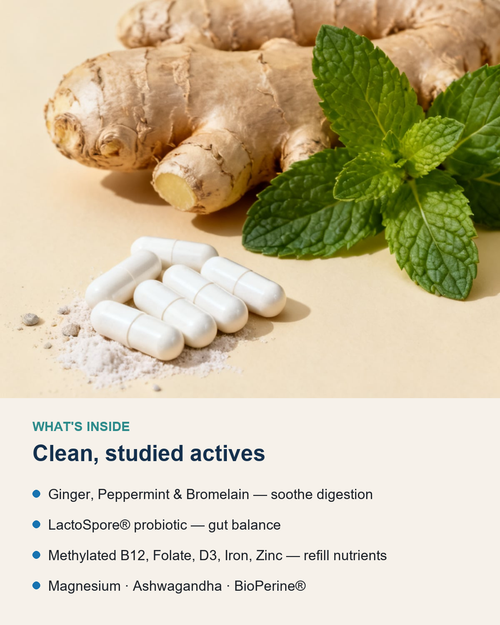 EVERGUT - Digestive Comfort + Daily Nutrient Support